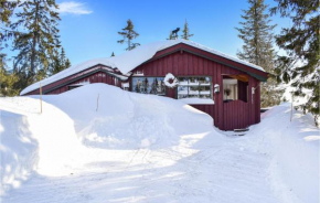 Awesome home in Sjusjøen w/ Sauna and 3 Bedrooms